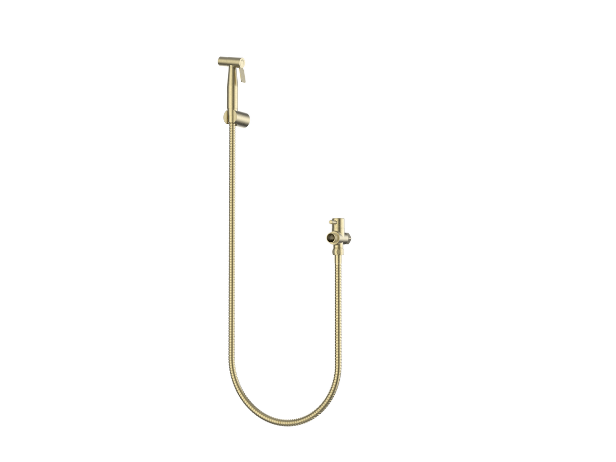 Laxe Bidet Set, Brushed Gold
